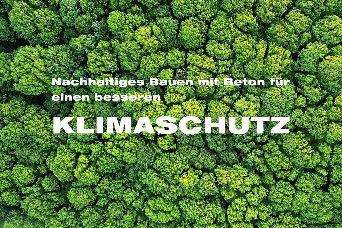 Waldstück mit Baumwipfeln von oben